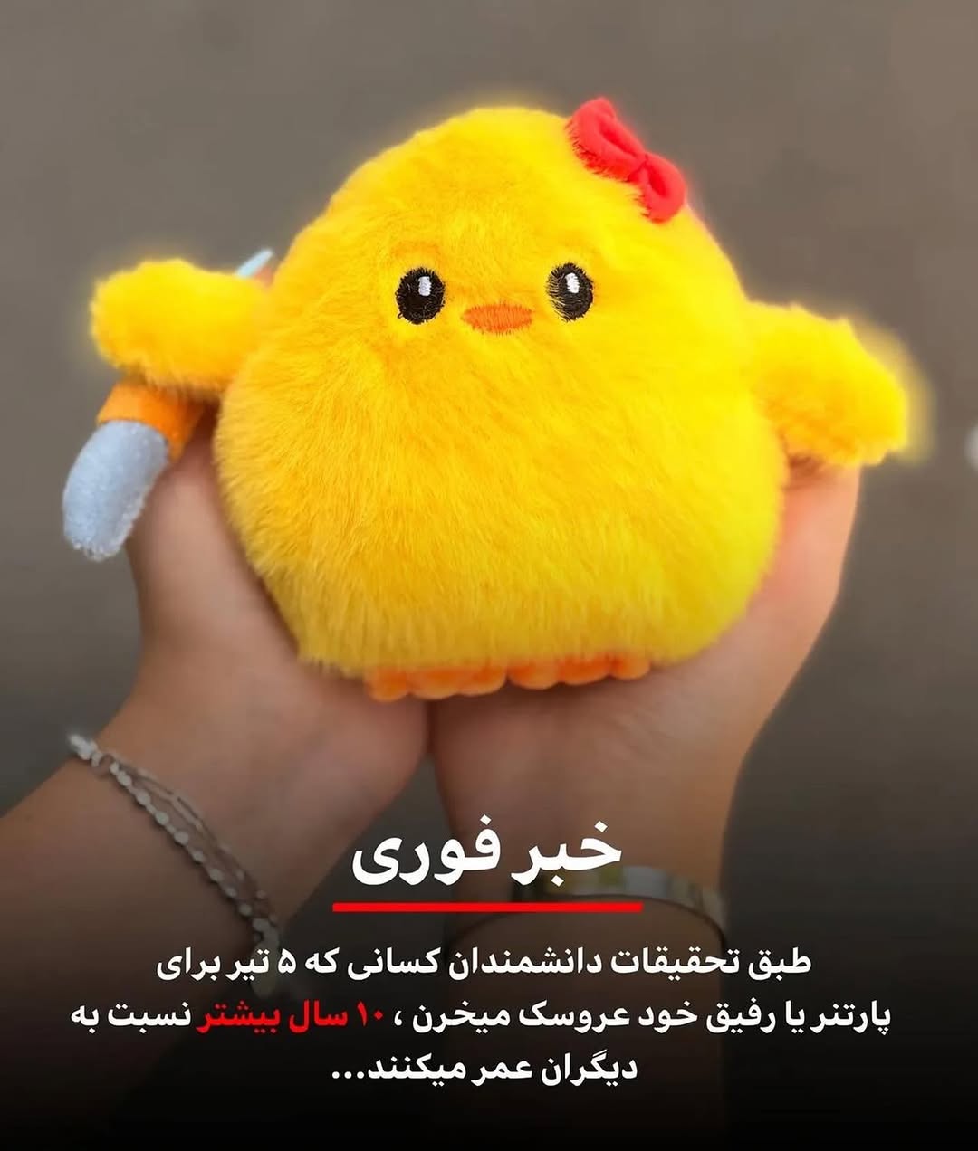 جوجه چاقو به دست